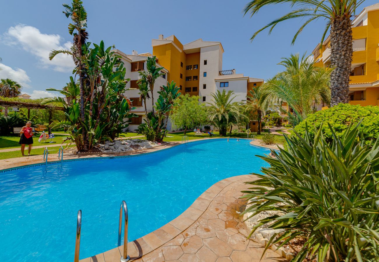 Apartamento en Torrevieja - CB Living - Punta Prima atico