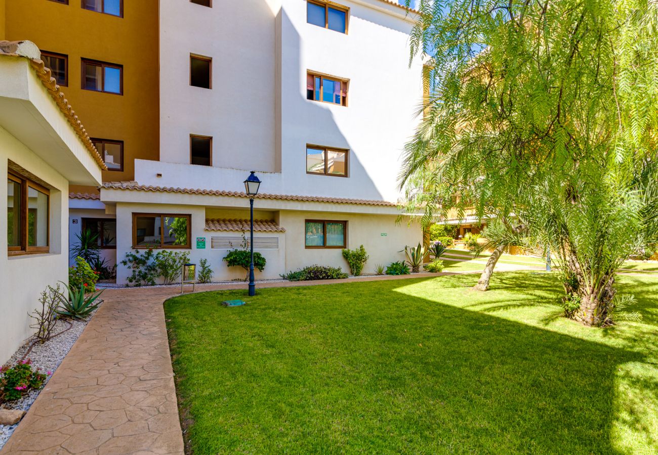 Appartement à Torrevieja - CB Living - Punta Prima atico