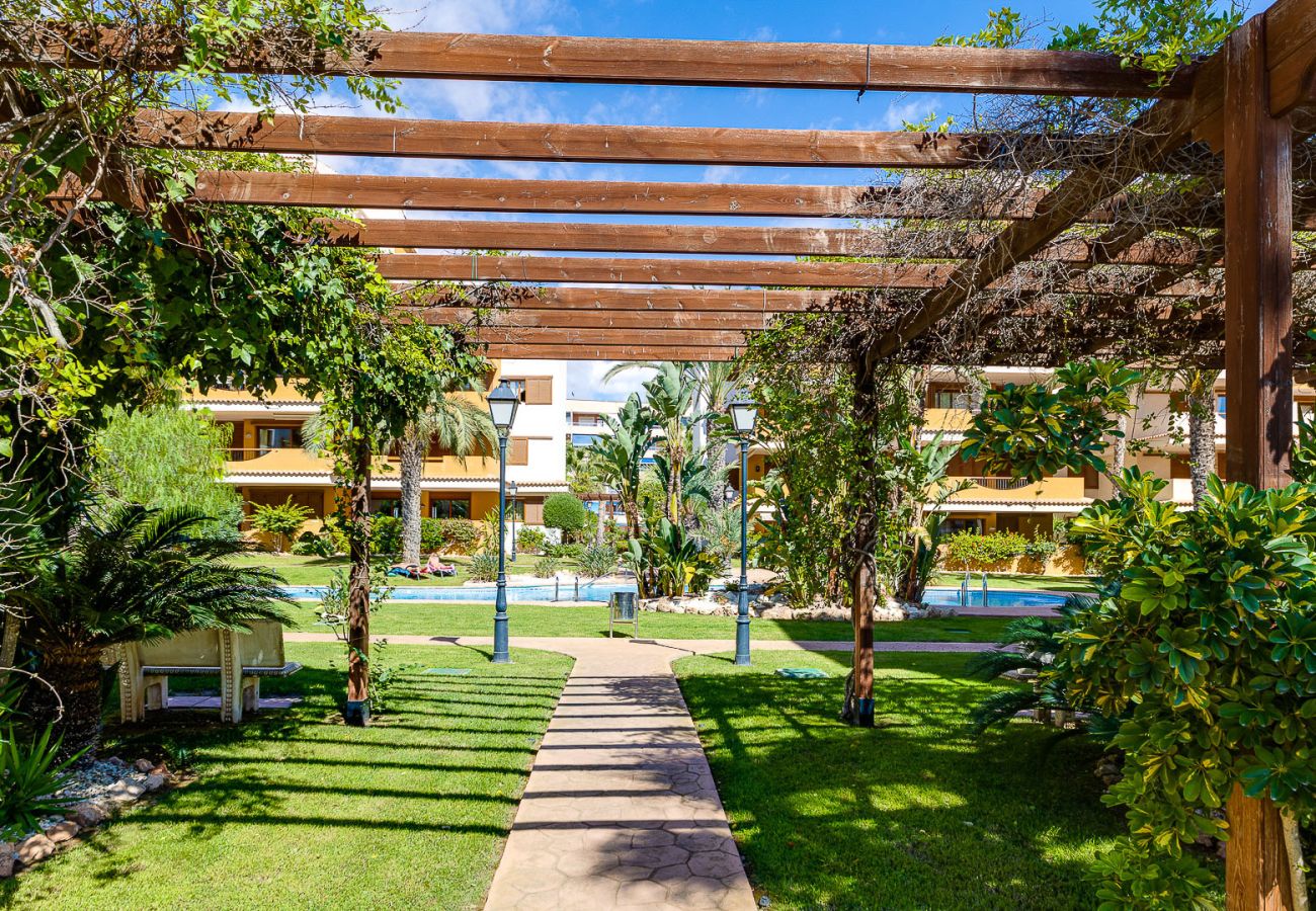 Appartement à Torrevieja - CB Living - Punta Prima atico