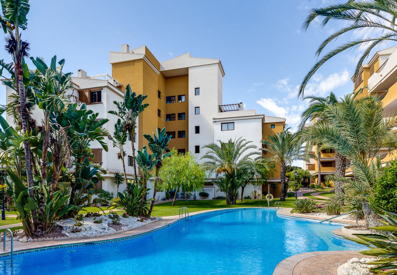 Apartment in Torrevieja - CB Living - Punta Prima atico