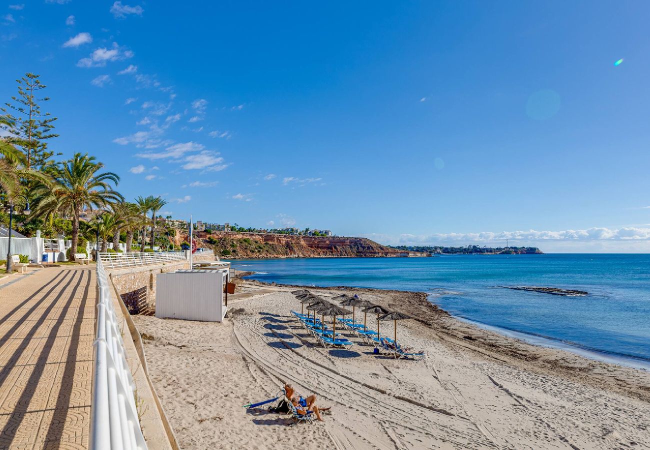 Apartment in Orihuela - CB Living - Apartment with roof terrace Aguamarina