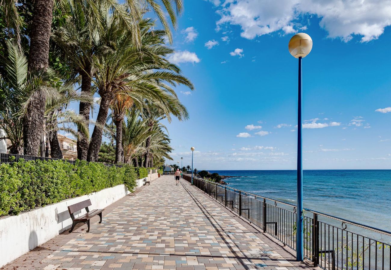 Apartment in Torrevieja - Bali